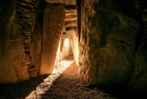 Dublin: Privat dagstur til Boyne Valley og Trim Castle