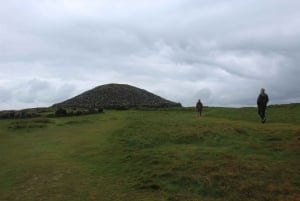 Dublin: Privat dagstur til Boyne Valley og Trim Castle