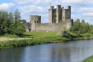 Dublin: Privat dagstur til Boyne Valley og Trim Castle