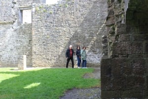 Dublin: Privat dagstur til Boyne Valley og Trim Castle