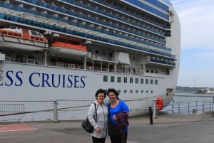 Dublin: Privat dagstur til Boyne Valley og Trim Castle