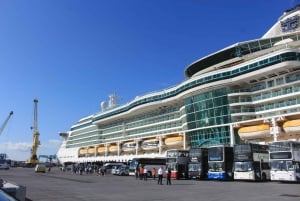 Dublin: Privat dagstur til Boyne Valley og Trim Castle