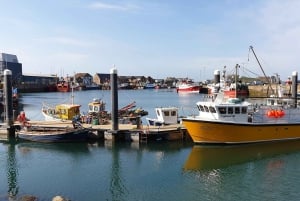 Dublin: Private Day Tour of Howth and Malahide Villages