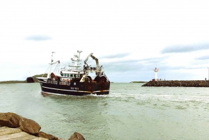 Dublin: Private Day Tour of Howth and Malahide Villages