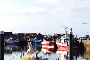 Dublin: Private Day Tour of Howth and Malahide Villages