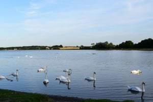 Dublin: Private Day Tour of Howth and Malahide Villages