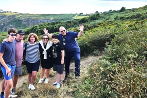 Dublin: Privat dagstur till byarna Howth och Malahide