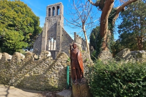 Dublin: Privat dagstur till byarna Howth och Malahide