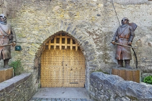 Dublin: Privat dagstur till byarna Howth och Malahide