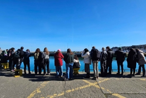 Dublin: Privat dagstur till byarna Howth och Malahide