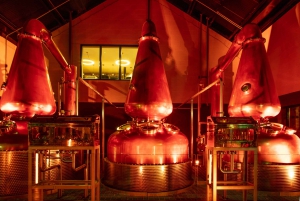 Dublin: Private Irish Whiskey Tour - Dublin's Distilleries