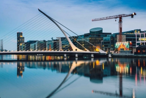 Dublin: Private Guided City Walking Tour