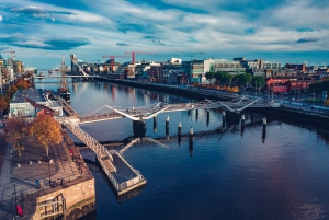 Dublin: Private Guided City Walking Tour