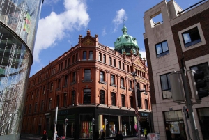 Dublin: Private Guided Walking Tour