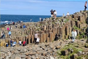 Dublin: Privat luksustur til Belfast og Giant's Causeway.