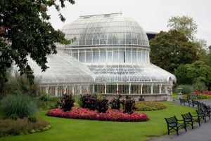 Dublin: Private Luxustour nach Belfast und zum Giant's Causeway.