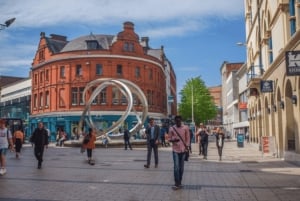 Dublin: Causeway: Yksityinen luksusretki Belfastiin ja Giant's Causewaylle.