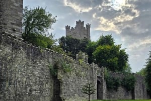 Dublin Private Medieval Walking Tour