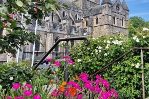 Dublin Private Medieval Walking Tour