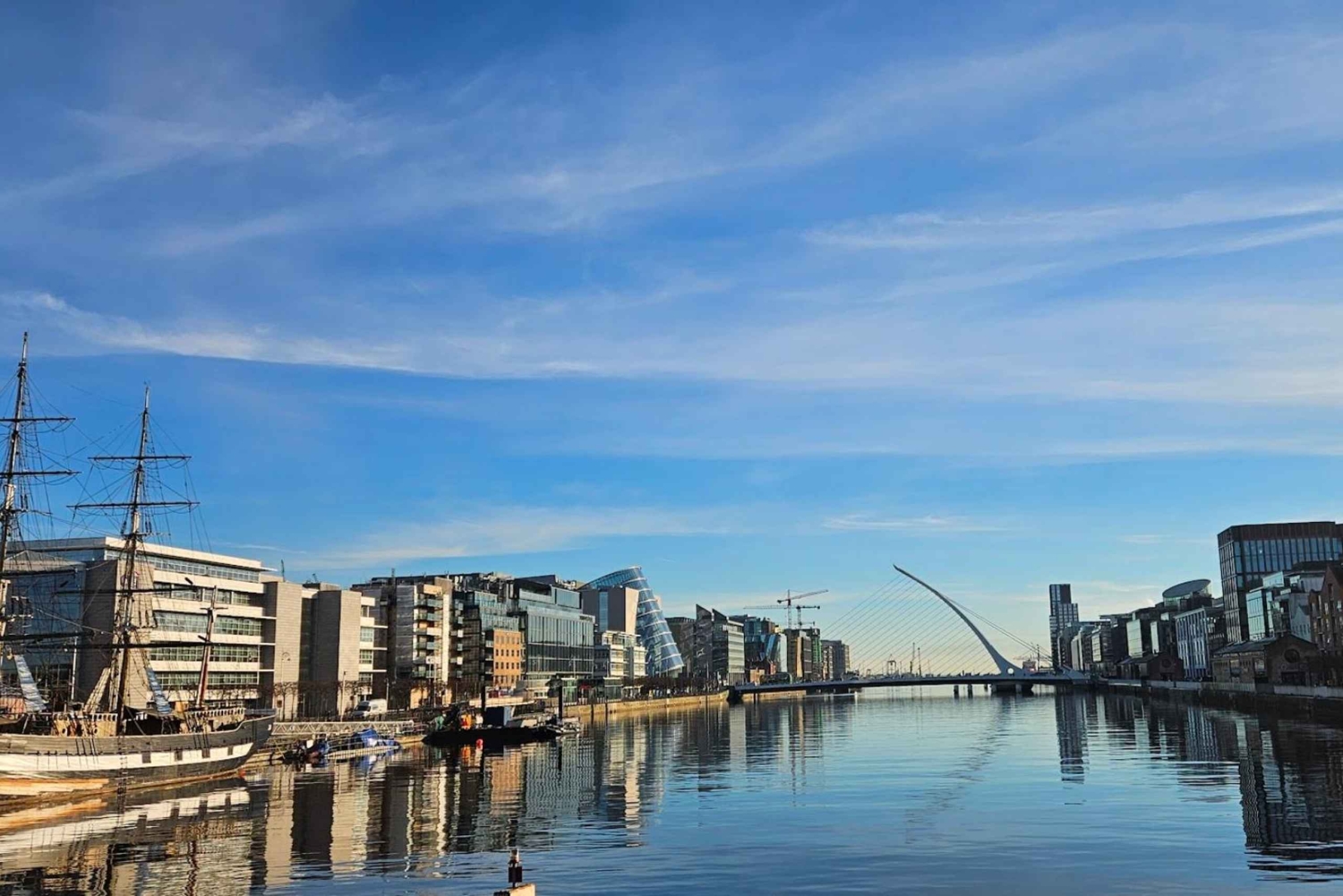 Dublino : Tour panoramico privato della città di Dublino