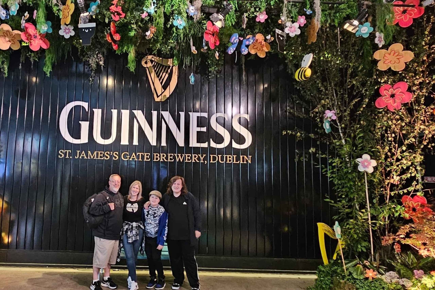 Dublino : Tour panoramico privato della città di Dublino