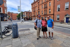 Dublin : Private Sightseeing Tour of Dublin City