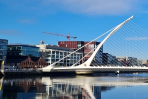 Dublin : Private Sightseeing Tour of Dublin City