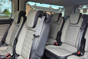 Dublino : Tour panoramico privato della città di Dublino