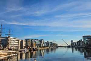 Dublino : Tour panoramico privato della città di Dublino