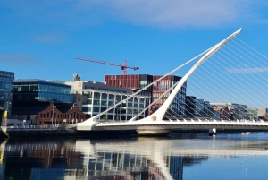 Dublino : Tour panoramico privato della città di Dublino