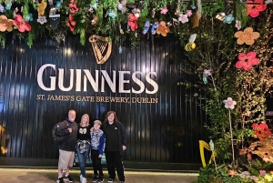 Dublino : Tour panoramico privato della città di Dublino