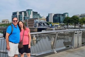 Dublino : Tour panoramico privato della città di Dublino