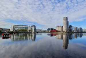Dublino : Tour panoramico privato della città di Dublino