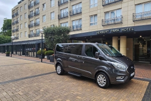 Dublino : Tour panoramico privato della città di Dublino