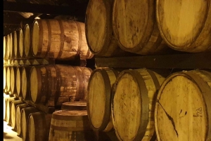 Dublino : Tour panoramico privato della città di Dublino