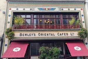 Dublino : Tour panoramico privato della città di Dublino