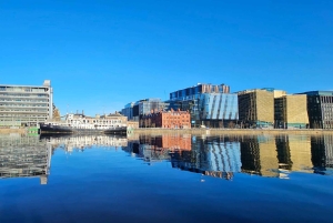 Dublino : Tour panoramico privato della città di Dublino