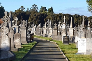 Dublino : Tour panoramico privato della città di Dublino