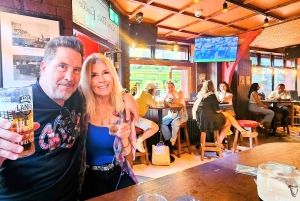 Dublino : Tour panoramico privato della città di Dublino