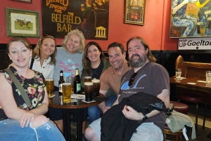 Dublino : Tour panoramico privato della città di Dublino