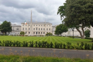 Dublino : Tour panoramico privato della città di Dublino