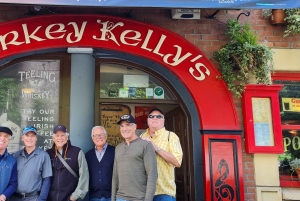 Dublino : Tour panoramico privato della città di Dublino