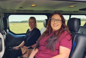 Dublino : Tour panoramico privato della città di Dublino