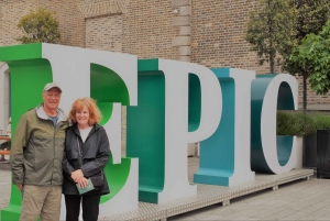 Dublino : Tour panoramico privato della città di Dublino