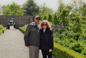 Dublino : Tour panoramico privato della città di Dublino