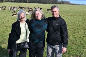 Dublino : Tour panoramico privato della città di Dublino