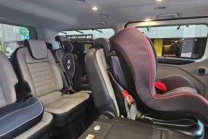 Dublino : Tour panoramico privato della città di Dublino