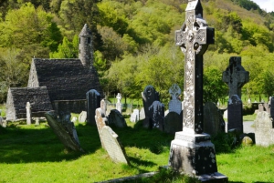 Dublin: Prywatna wycieczka do Wicklow, Glendalough i Powerscourt.