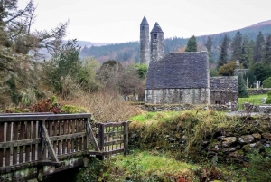 Dublin: Prywatna wycieczka do Wicklow, Glendalough i Powerscourt.