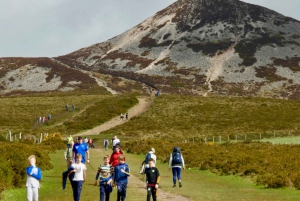 Dublin: Prywatna wycieczka do Wicklow, Glendalough i Powerscourt.